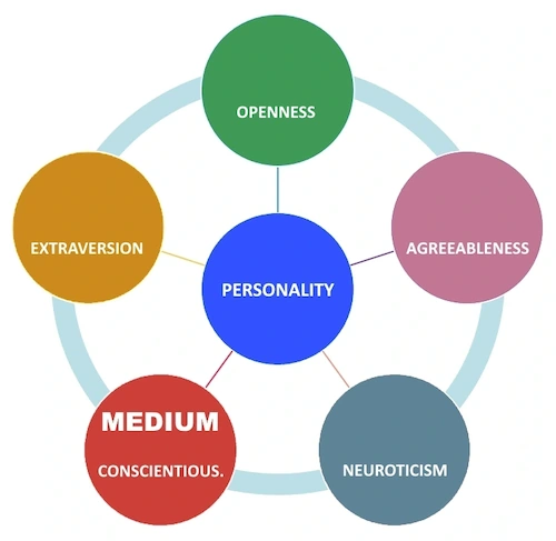 conscientiousness trait medium